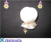 Новогодний ангелок.